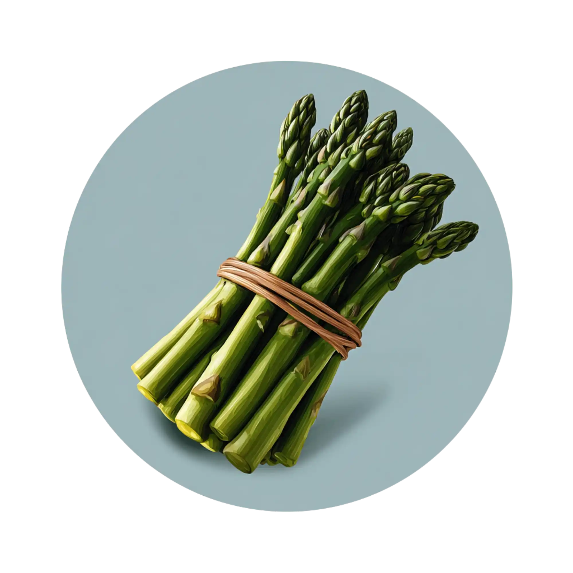 icon-asperges-tastio